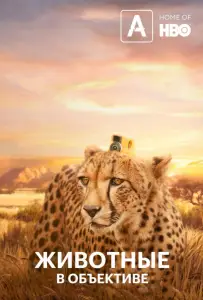 Животные в объективе (сериал 2018)